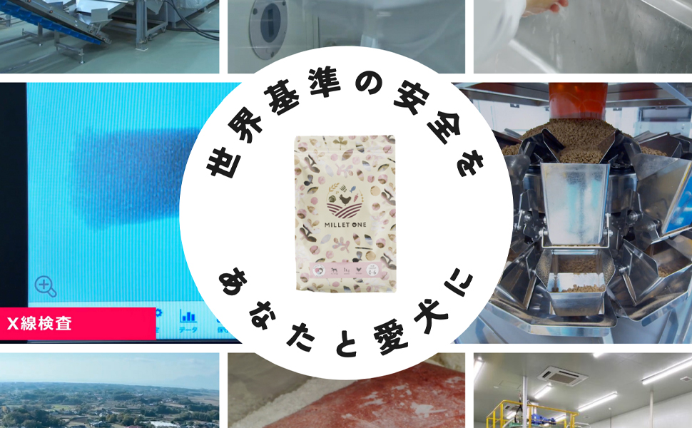 食いつき抜群！涙やけケアもできる国産ドッグフード ミレワン パピー