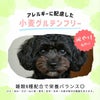 パピーの便臭・涙やけにお悩みの方へ