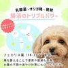 免疫力サポート