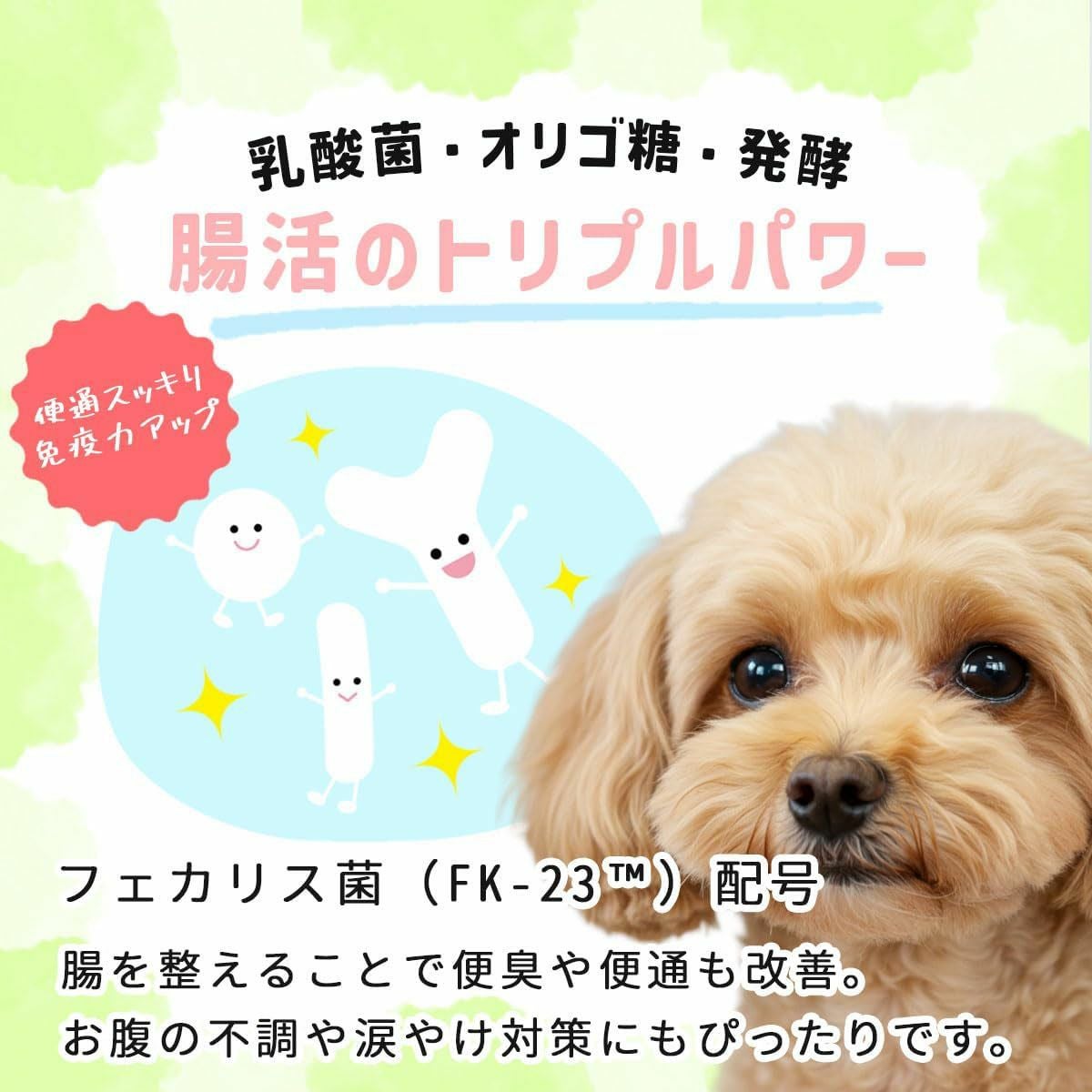 免疫力サポート